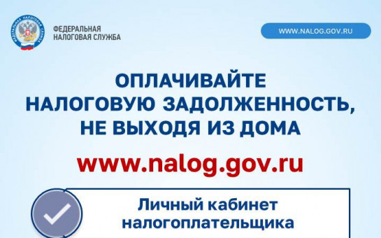 Как узнать о наличии налоговой задолженности и погасить ее
